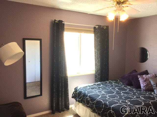 613 32 Road Clifton, CO 81520 - Photo 9 of 21 Gallery Image 9