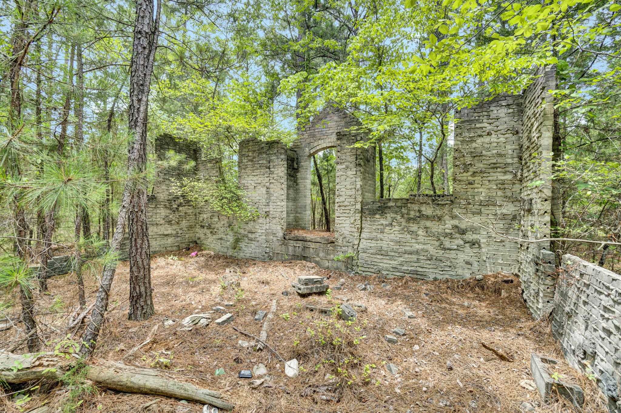 0 Stomp Springs Circle Clinton, SC 29325 - Photo 13 of 22