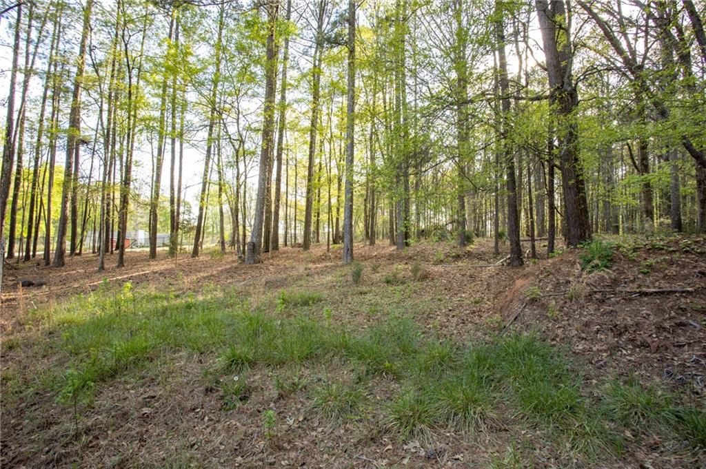 4450 Bay Creek Road Loganville, GA 30052 - Photo 39 of 44