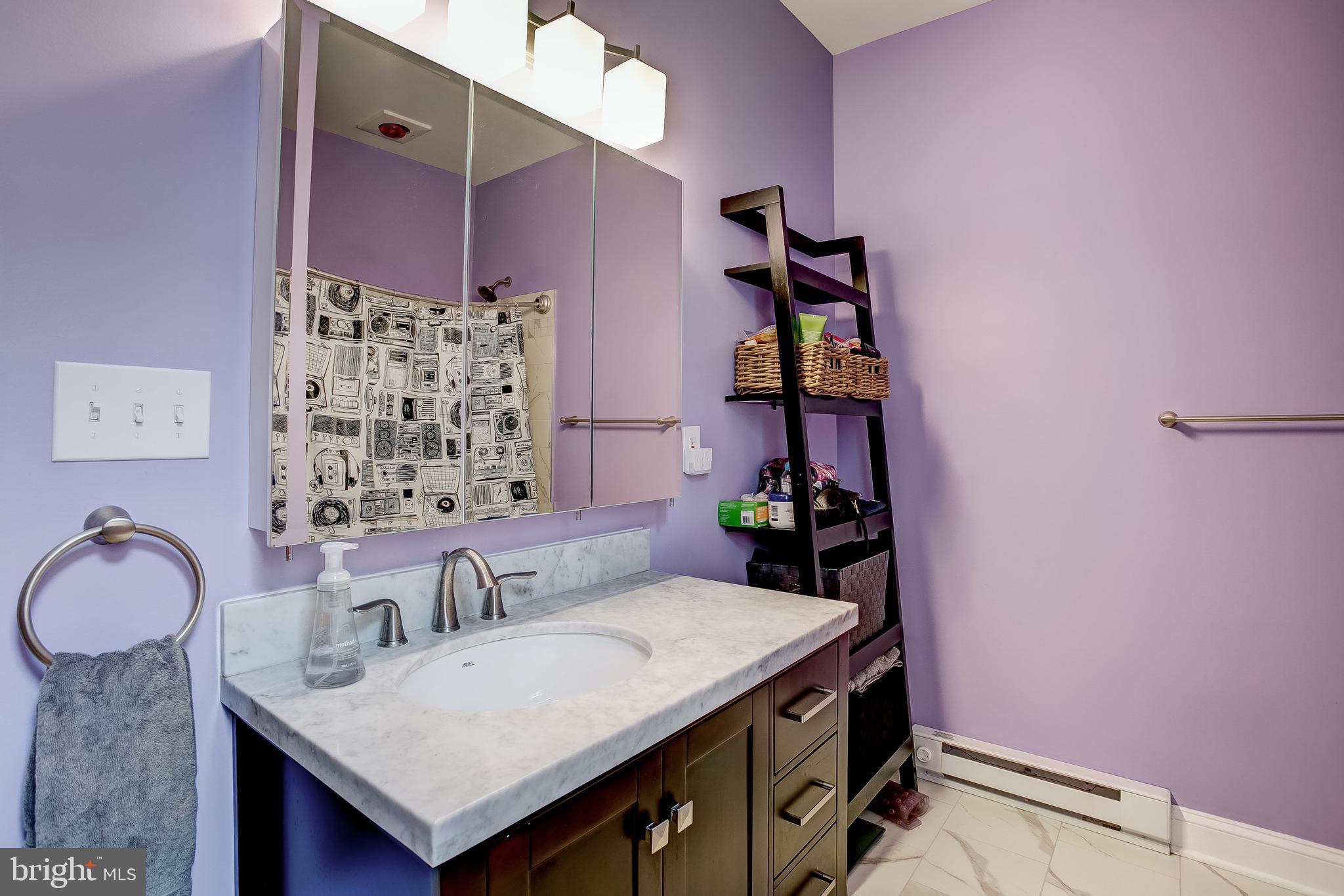 848 West 35th Street Baltimore, MD 21211 - Photo 20 of 32 Oversized Bathrooms