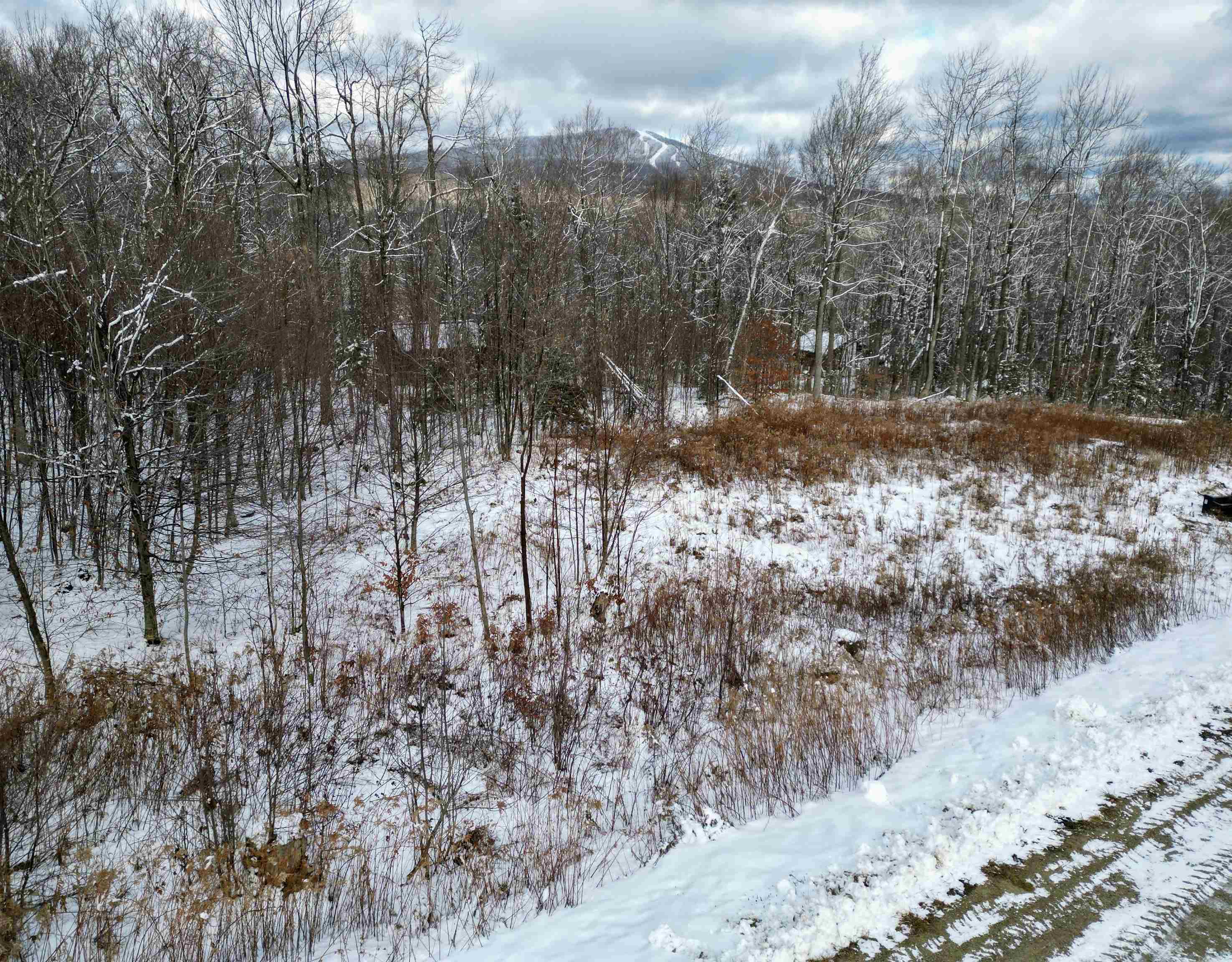 41 Moose Hollow Road Winhall, VT 05340 - Photo 10 of 12