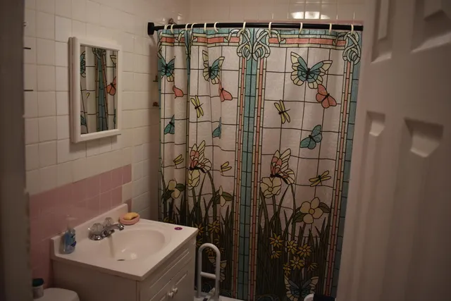 a bathroom with a shower curtain and a sink