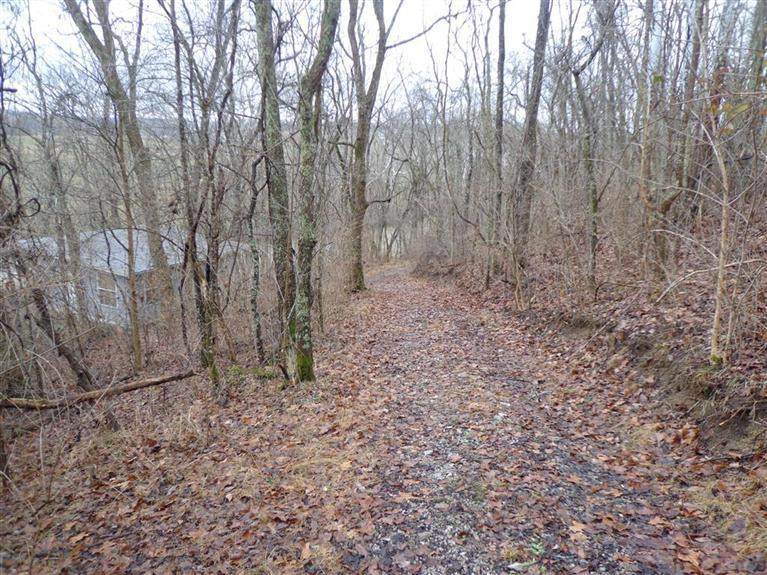 3337 Chaney Road Brooksville, KY 41004 - Photo 8 of 30 Gallery Image 8