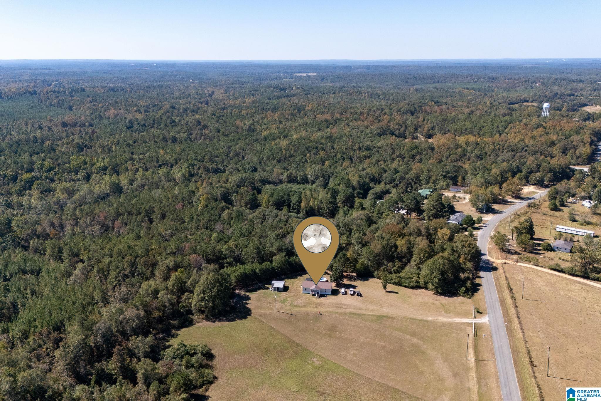 4455 County Road 447 Verbena, AL 36091 - Photo 47 of 51