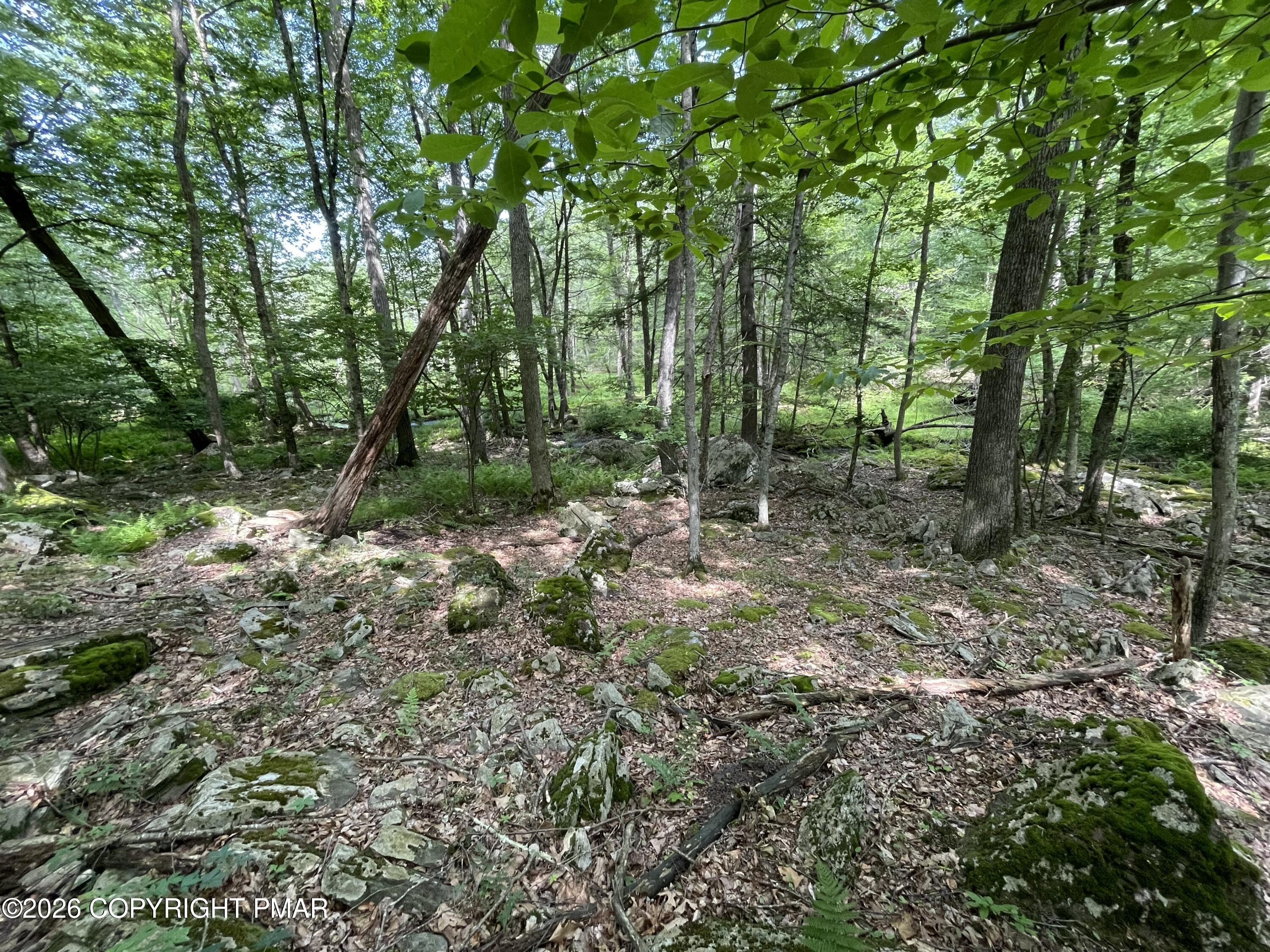 240 Mud Run Road Cresco, PA 18326 - Photo 5 of 7 Woods