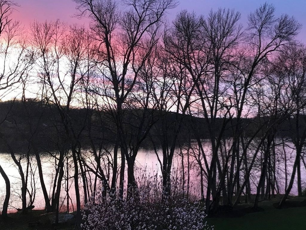 8 Merrimack River Road Groveland, MA 01834 - Photo 39 of 39 a view of swimming pool and trees in the background