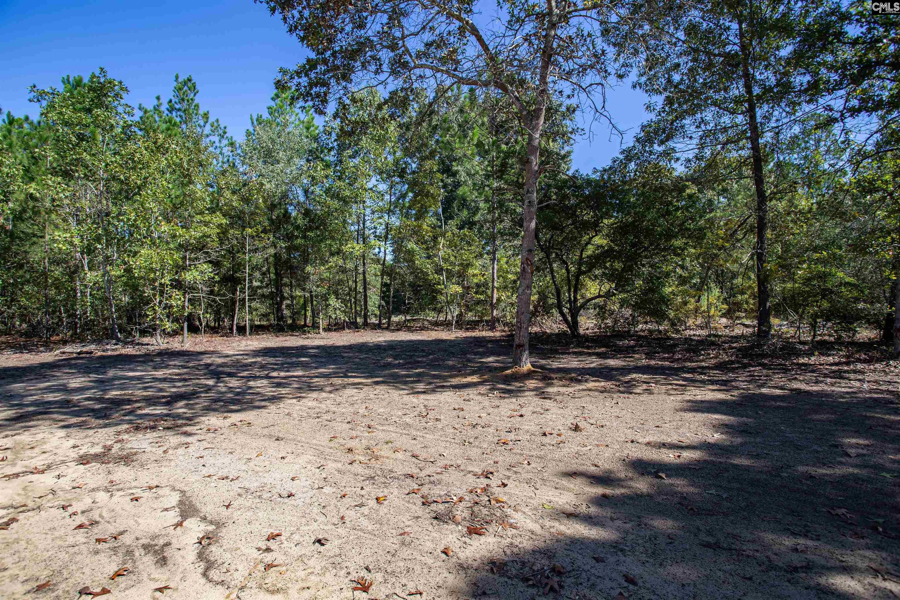 1404 Mt Zion Road Cassatt, SC 29032 - Photo 27 of 28 Gallery Image 27