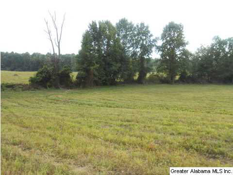 1400 Wilson Chapel Road, Unit 28 ACRES Oneonta, AL 35121 - Photo 11 of 19