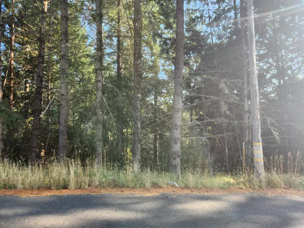 $10,000 | 768 Redwood Road, Whitethorn, CA 95589