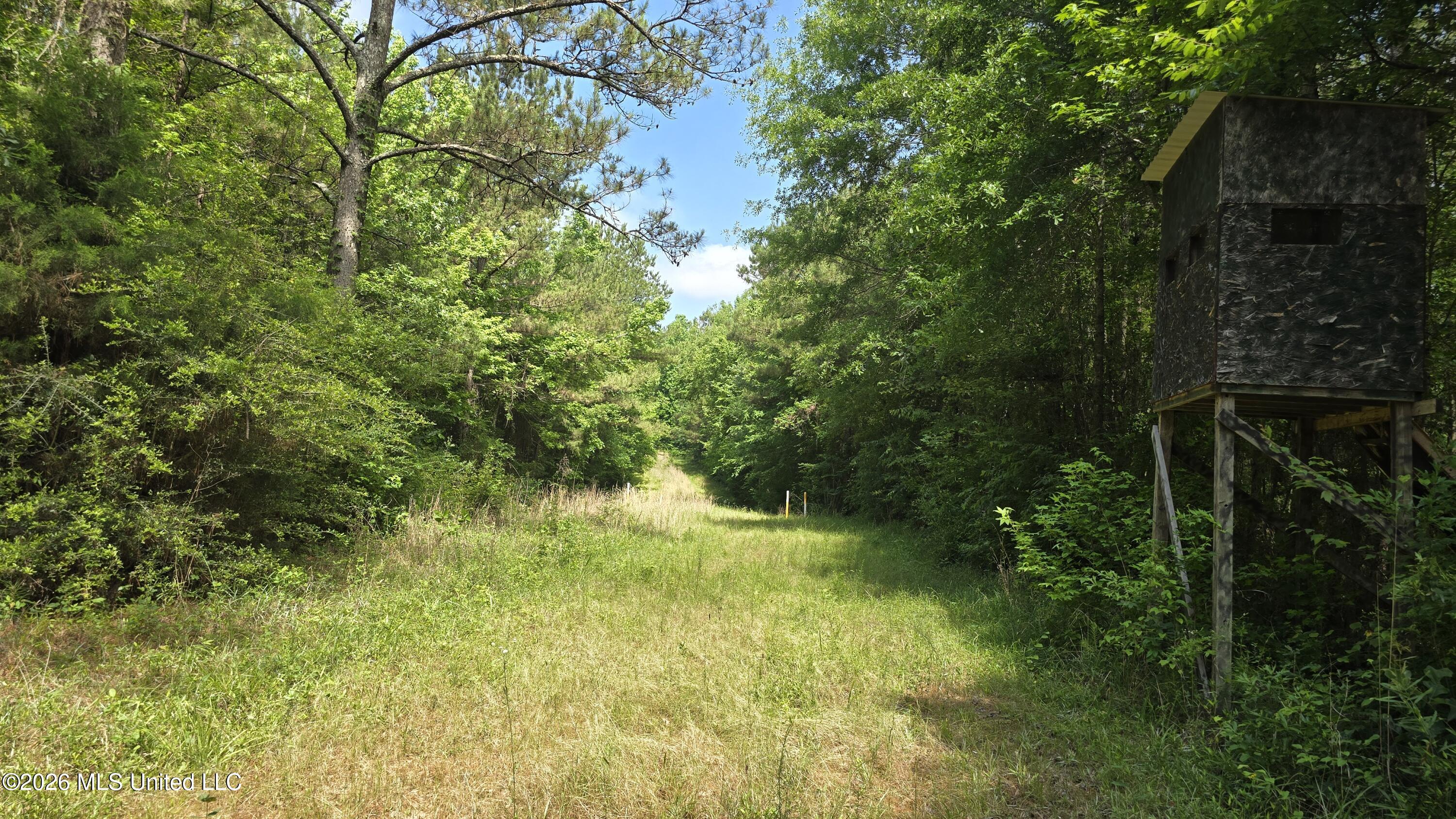 189 Co Road Bay Springs, MS 39422 - Photo 32 of 61 20260513_105625