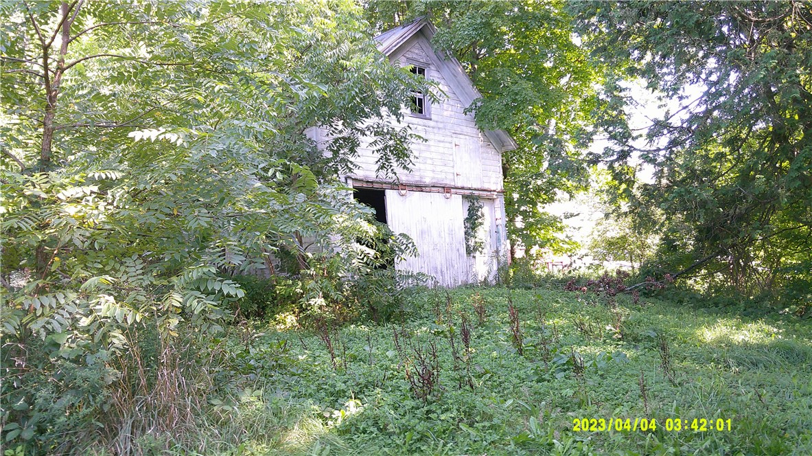 1878 Fairground Road Brookfield, NY 13485 - Photo 21 of 21 view from back side yard