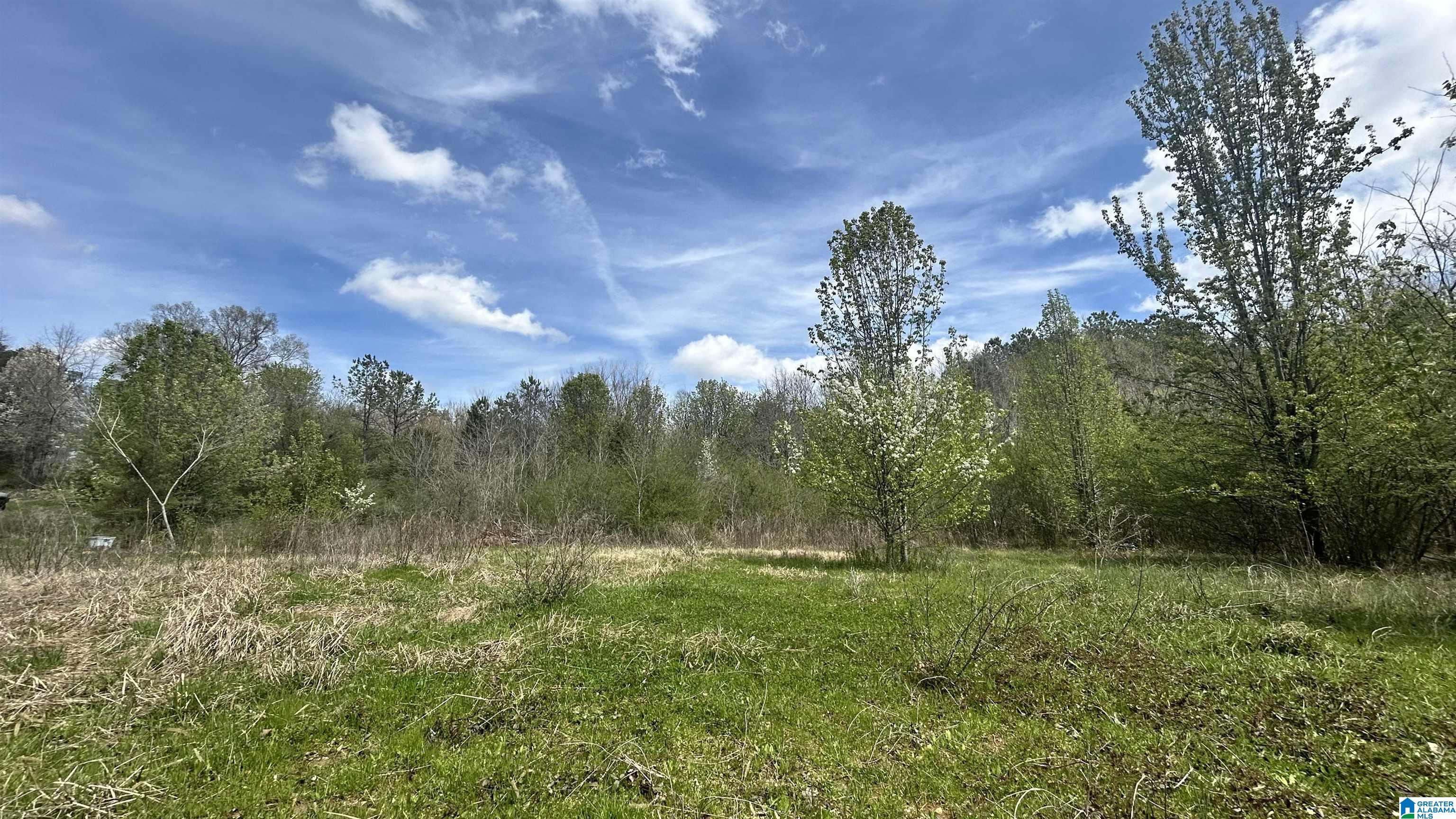 180 Demotte Road Southeast Bessemer, AL 35022 - Photo 5 of 13 Gallery Image 5