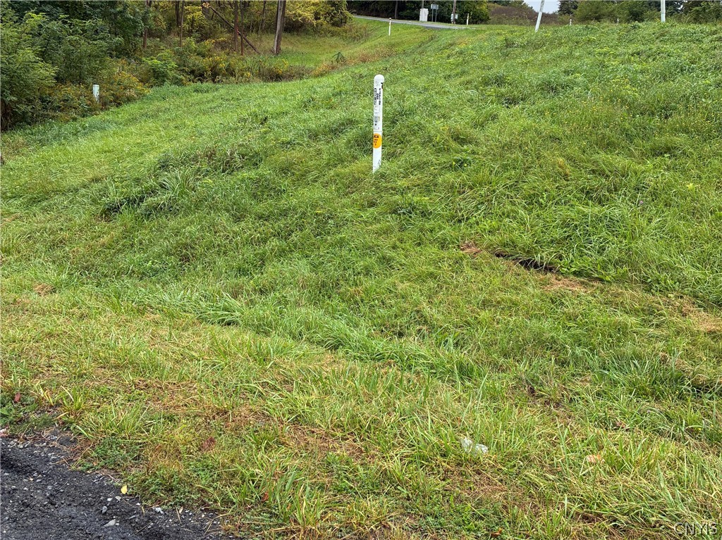 Smith Road Newfield, NY 14867 - Photo 2 of 3 Lot 12 Smith Street