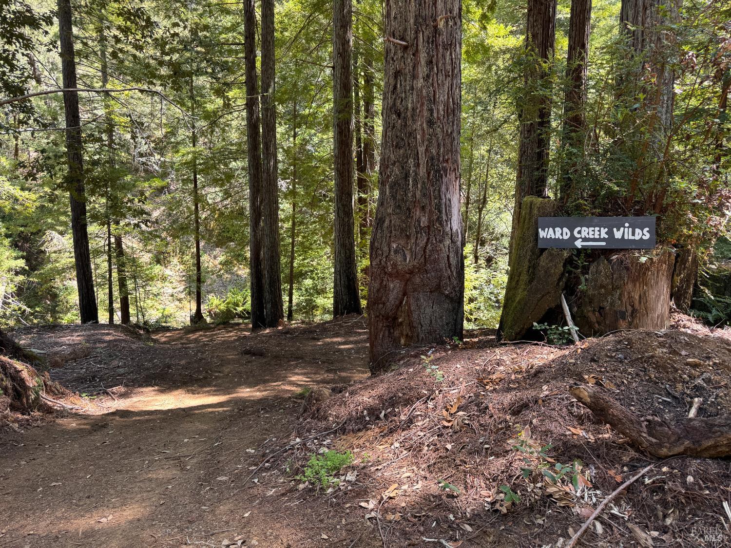 21530 Fort Ross Road Cazadero, CA 95421 - Photo 5 of 56