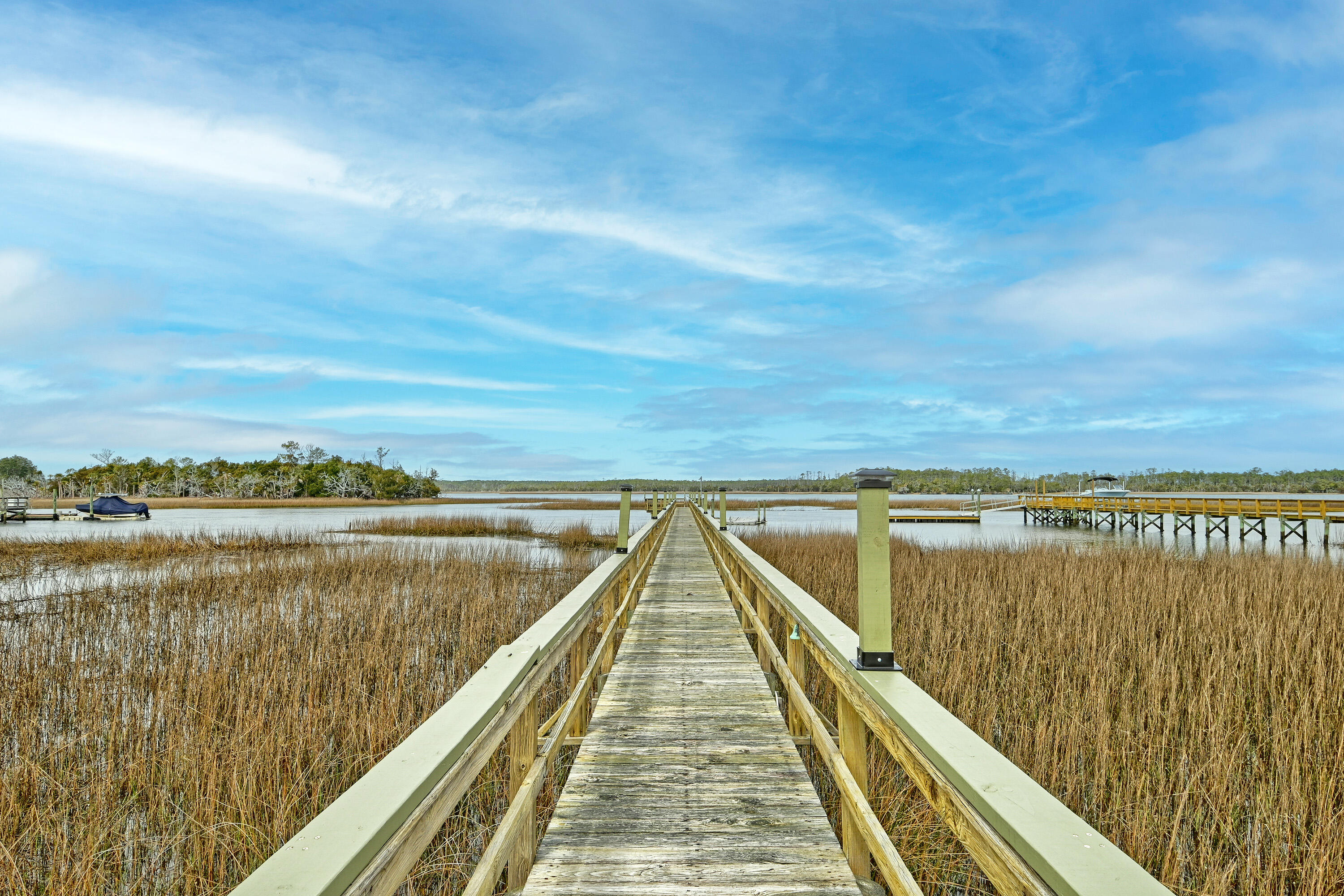 4145 Colonel Vanderhorst Circle Mount Pleasant, SC 29466 - Photo 116 of 135 DSC_3720-HDR(5)