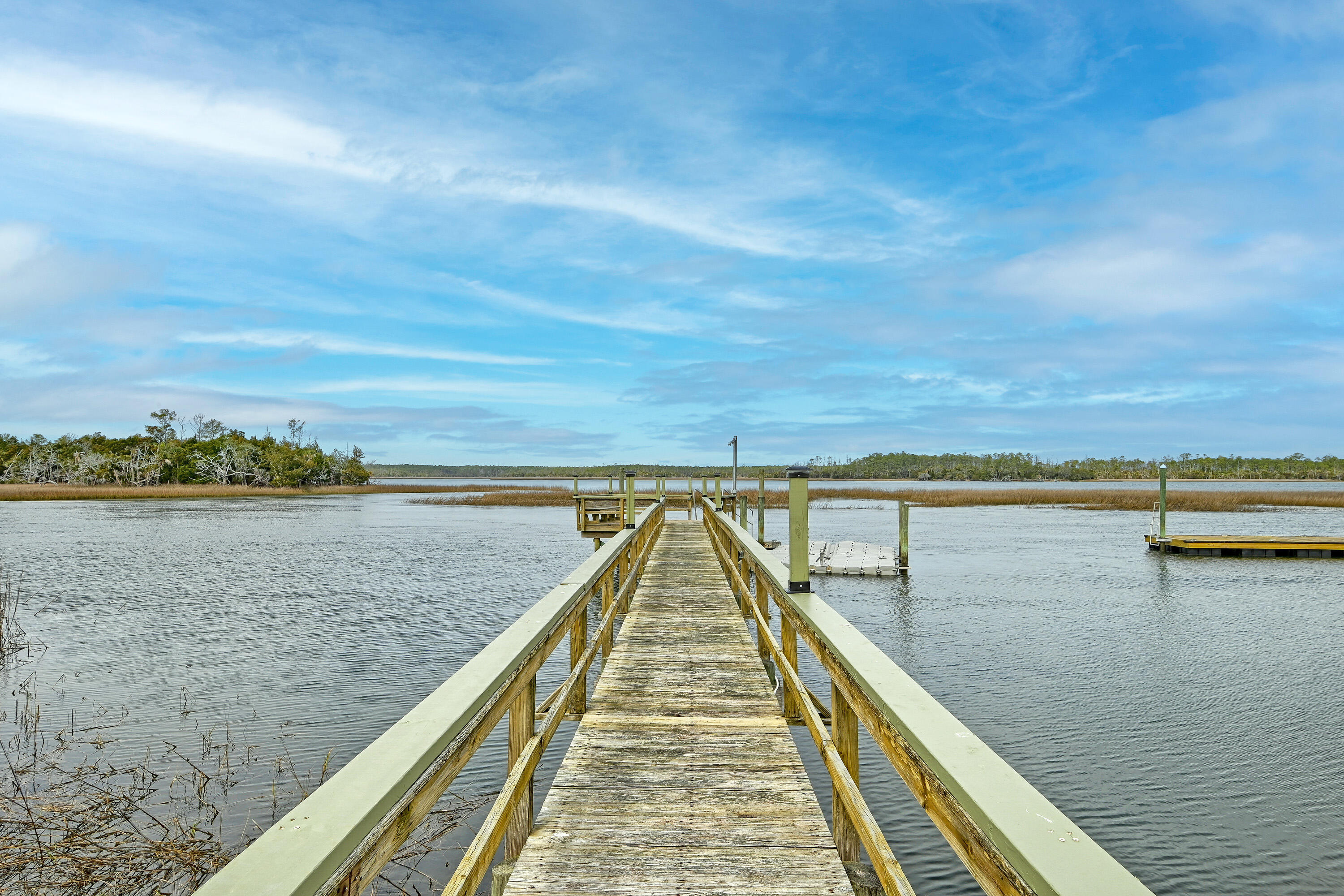 4145 Colonel Vanderhorst Circle Mount Pleasant, SC 29466 - Photo 118 of 135 DSC_3725-HDR(5)
