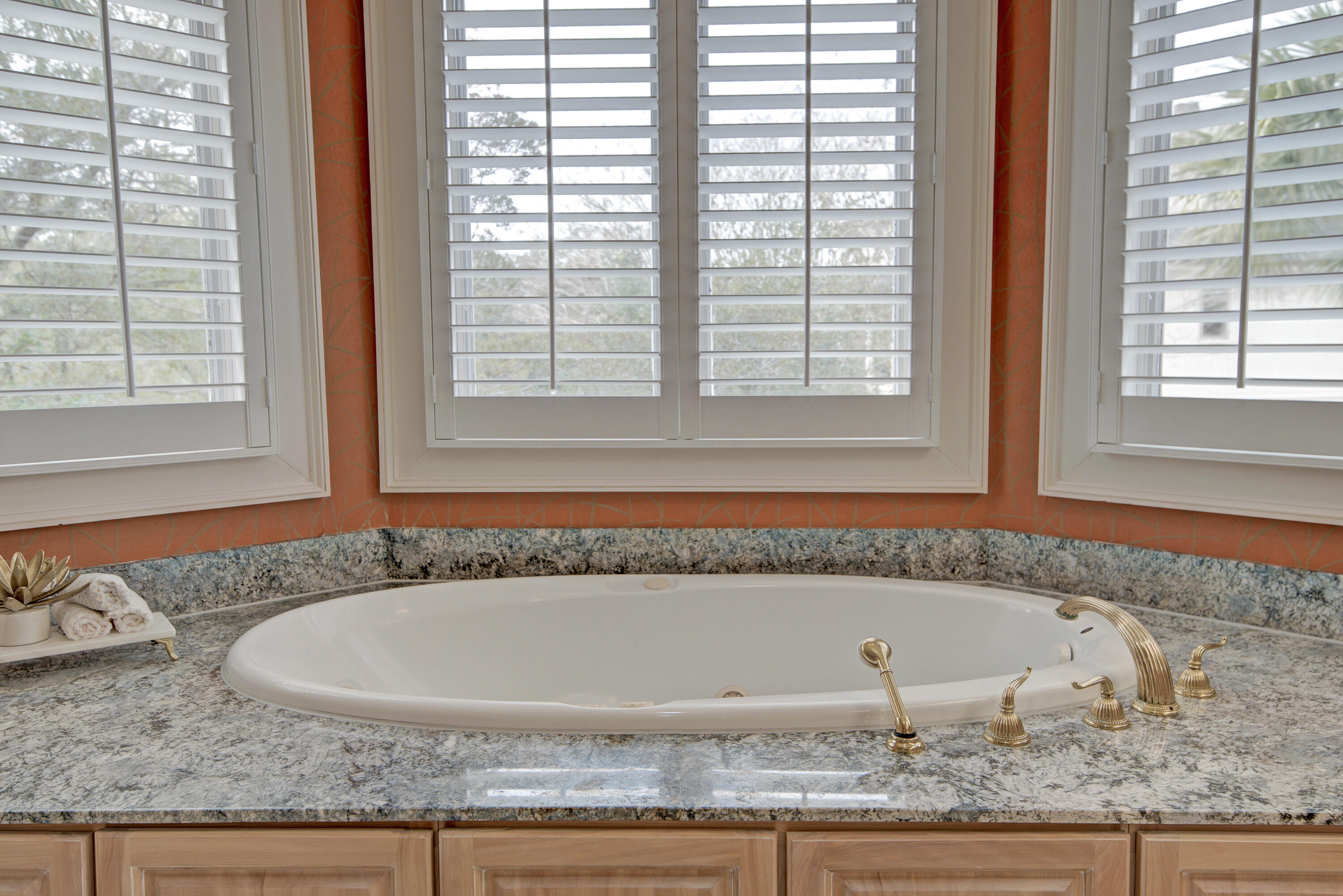 4145 Colonel Vanderhorst Circle Mount Pleasant, SC 29466 - Photo 45 of 135 DSC_4211_2_3_4_5