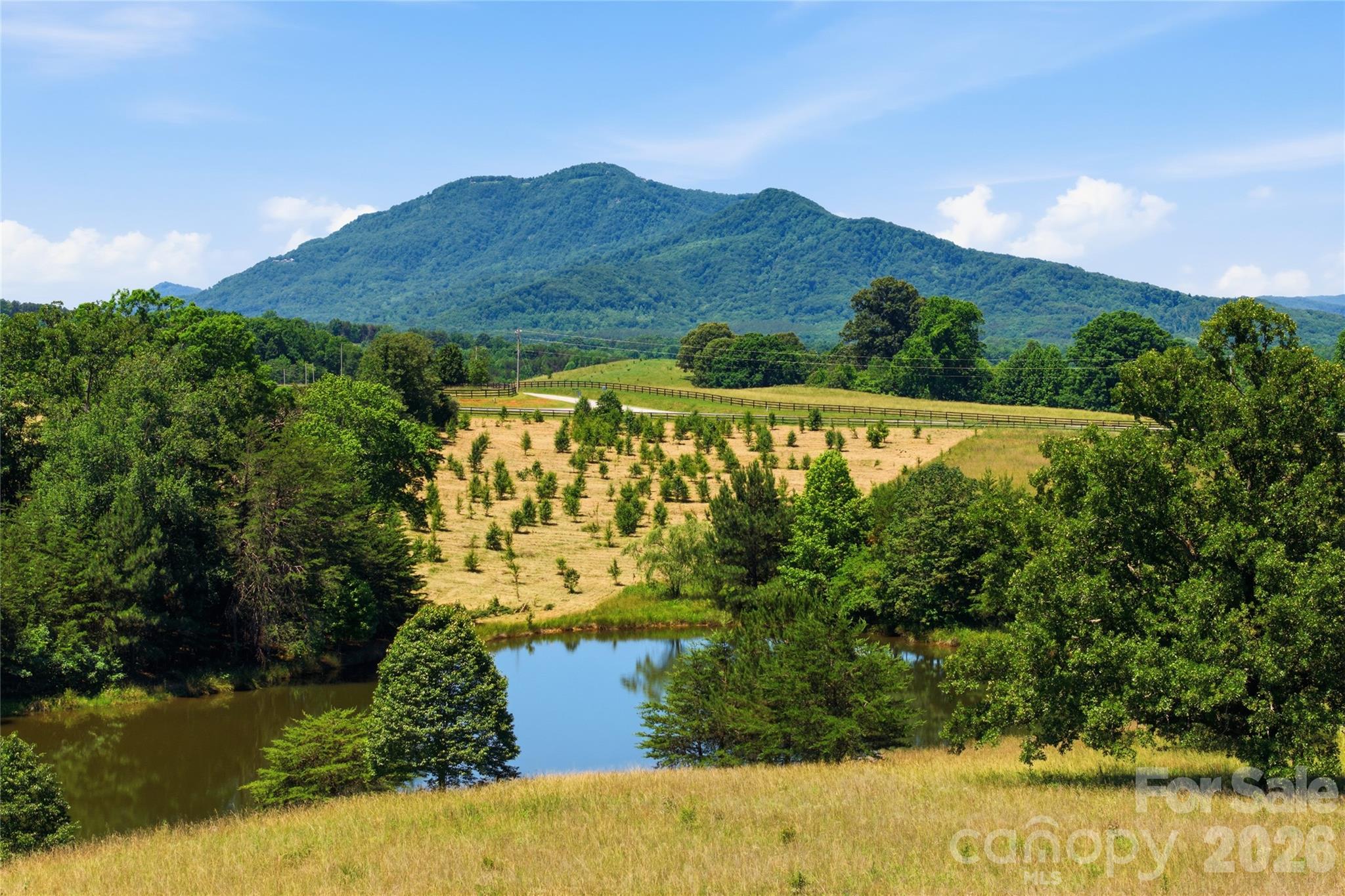Lot 3 High Meadows Dr Mill Spring Mill Spring, NC 28756 - Photo 29 of 31