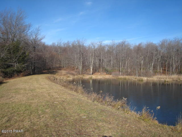 1050 Ravnikar Road Forest City, PA 18421 - Photo 18 of 28