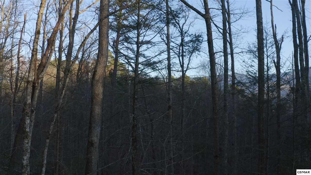 314 Hickey Road Sevierville, TN 37876 - Photo 13 of 36