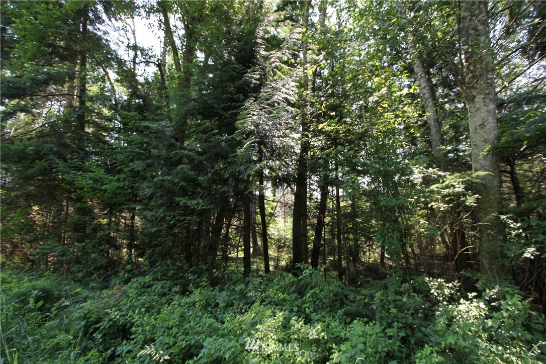 153537 Moose Trail Point Roberts, WA 98281 - Photo 1 of 7
