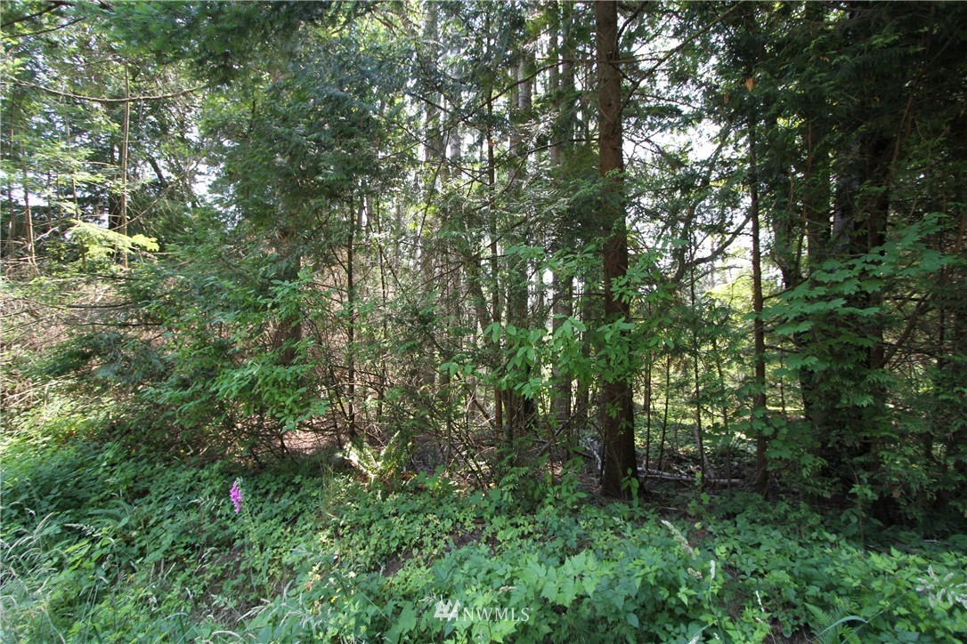 153537 Moose Trail Point Roberts, WA 98281 - Photo 3 of 7