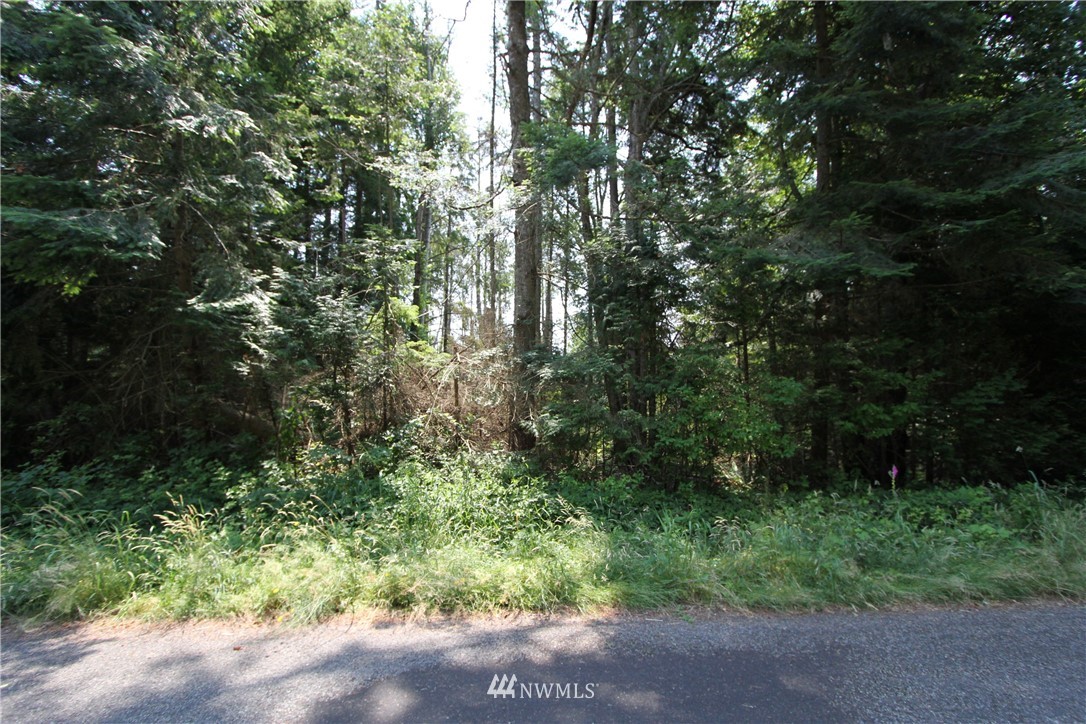 153537 Moose Trail Point Roberts, WA 98281 - Photo 5 of 7