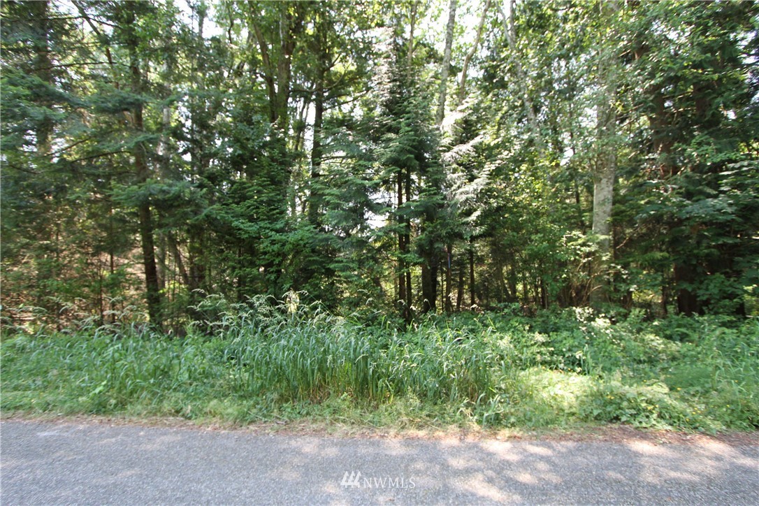 153537 Moose Trail Point Roberts, WA 98281 - Photo 7 of 7