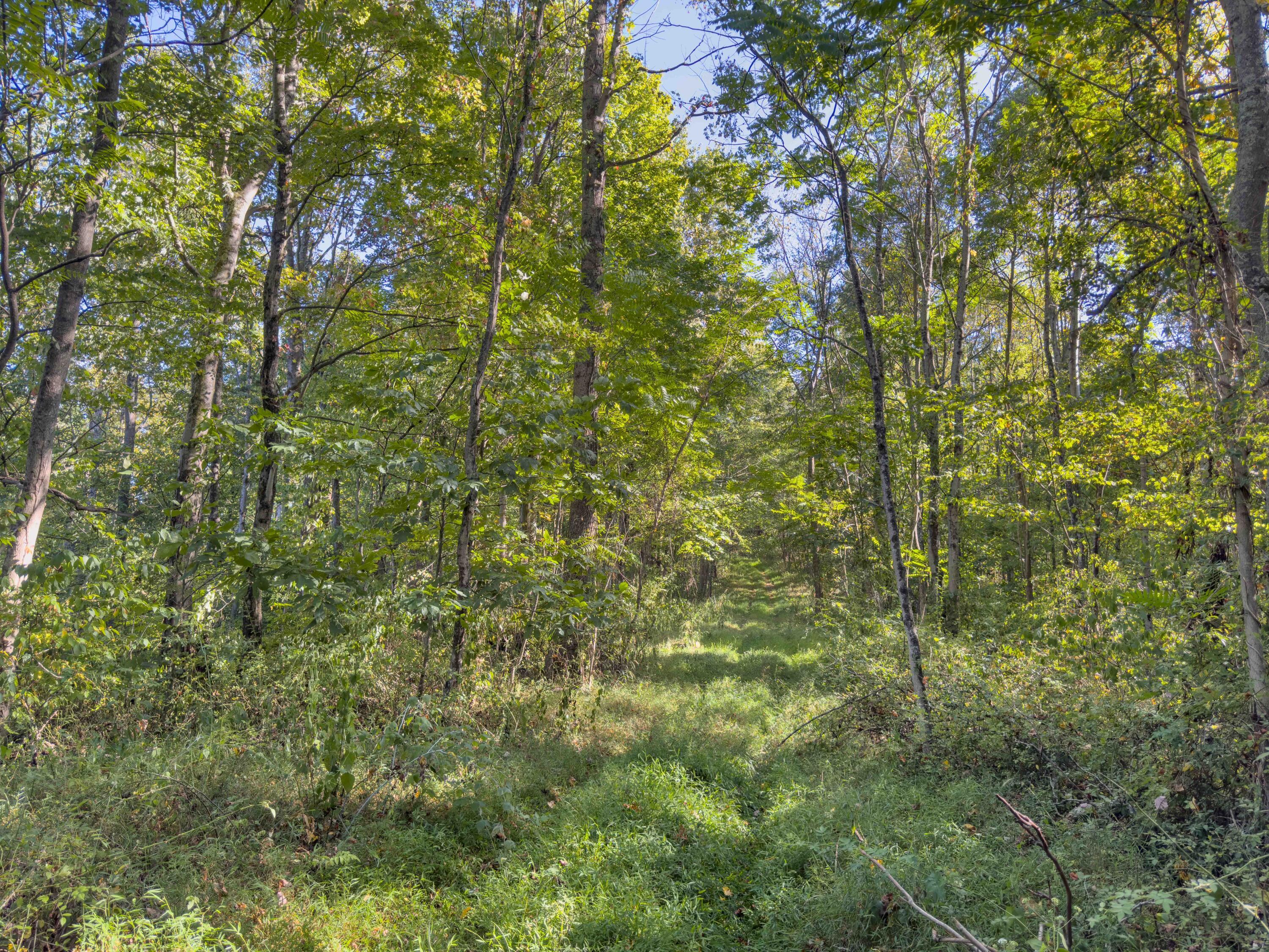 17020 Cox Road Logan, OH 43138 - Photo 53 of 57 Cox Rd-52