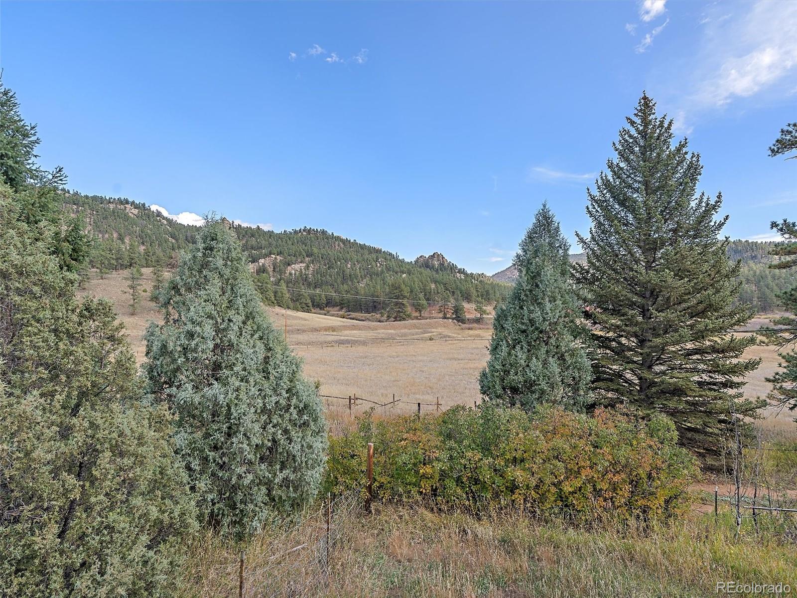 24676 River Meadow Road Pine, CO 80470 - Photo 29 of 32