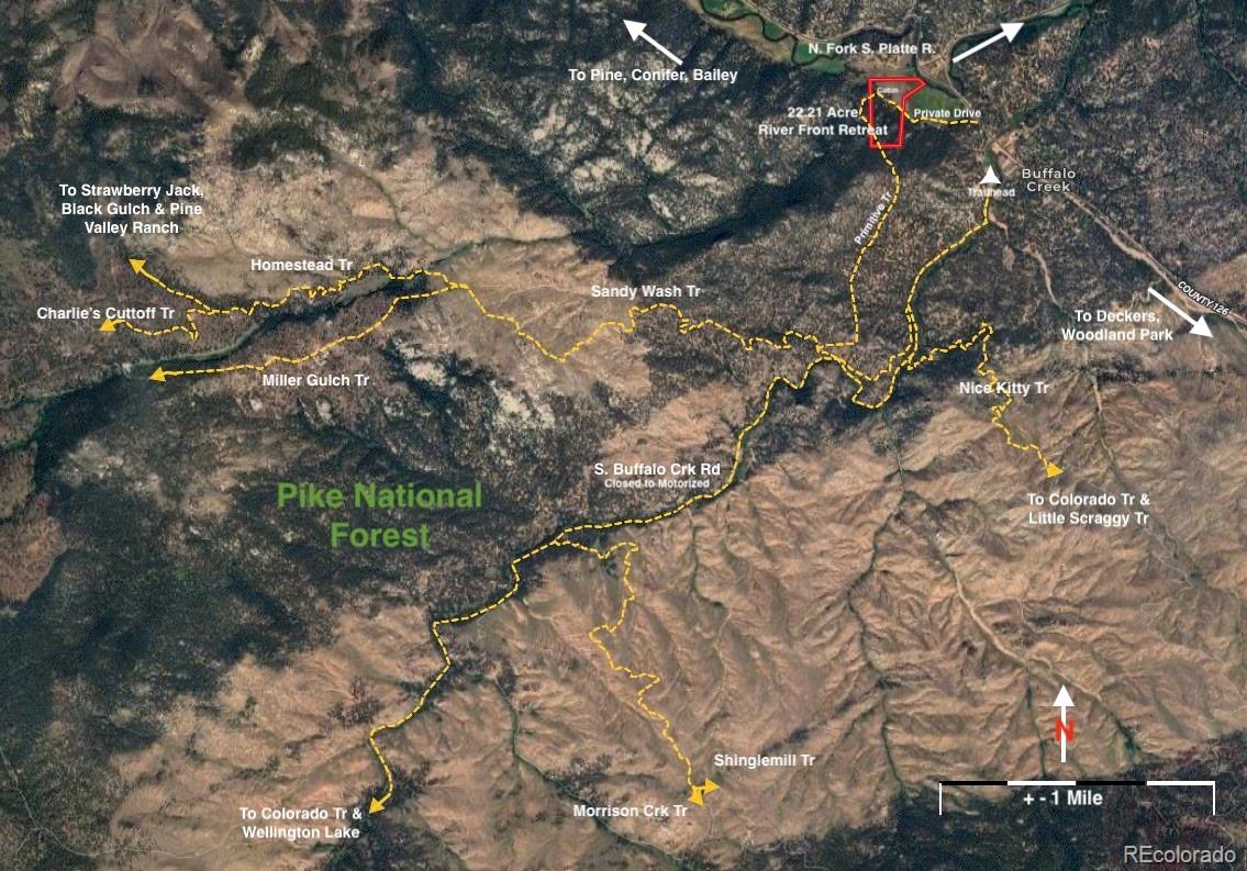 24676 River Meadow Road Pine, CO 80470 - Photo 4 of 32