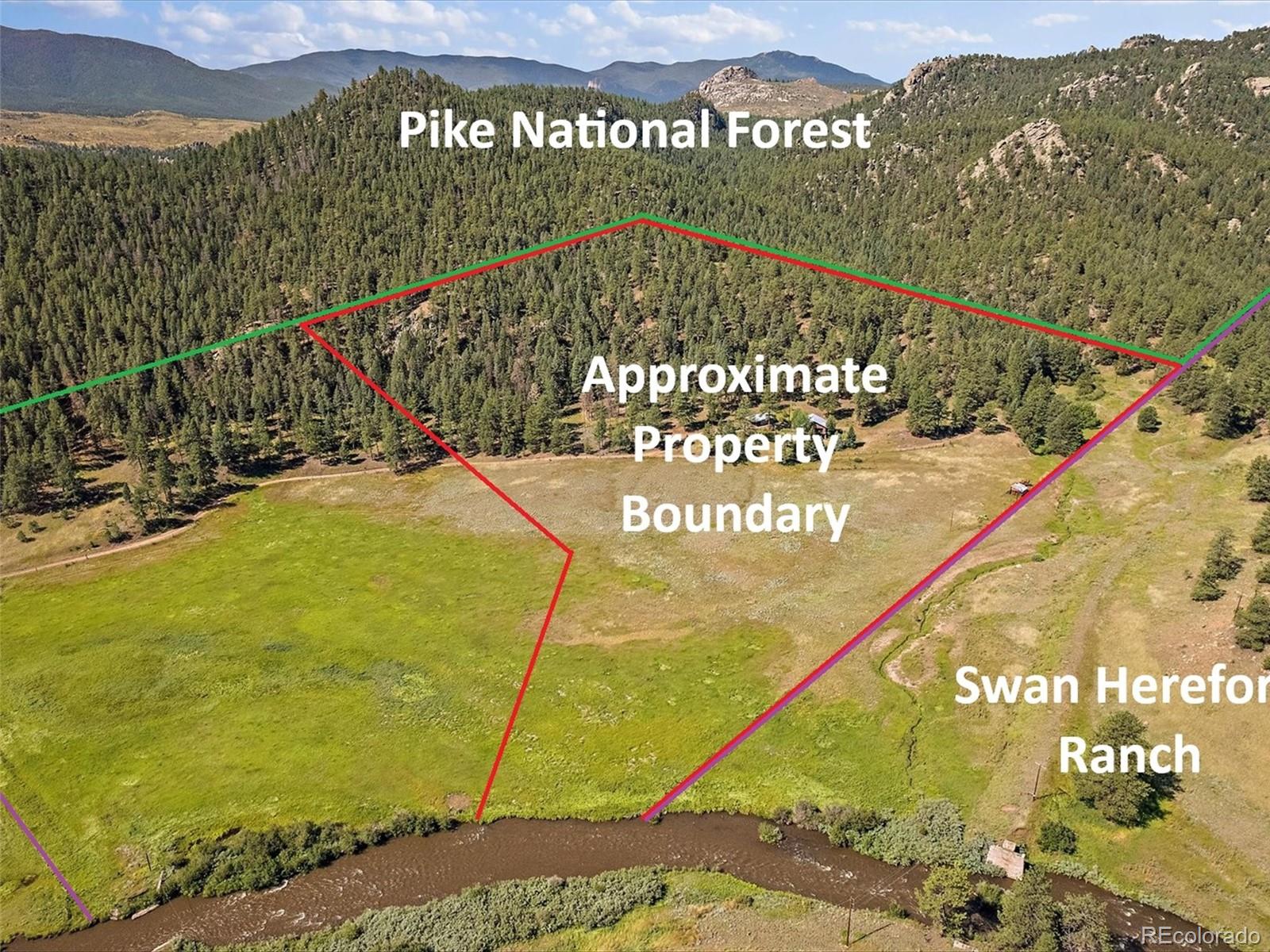 24676 River Meadow Road Pine, CO 80470 - Photo 5 of 32