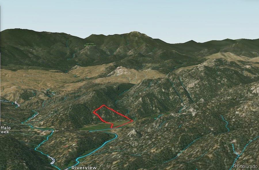 24676 River Meadow Road Pine, CO 80470 - Photo 6 of 32