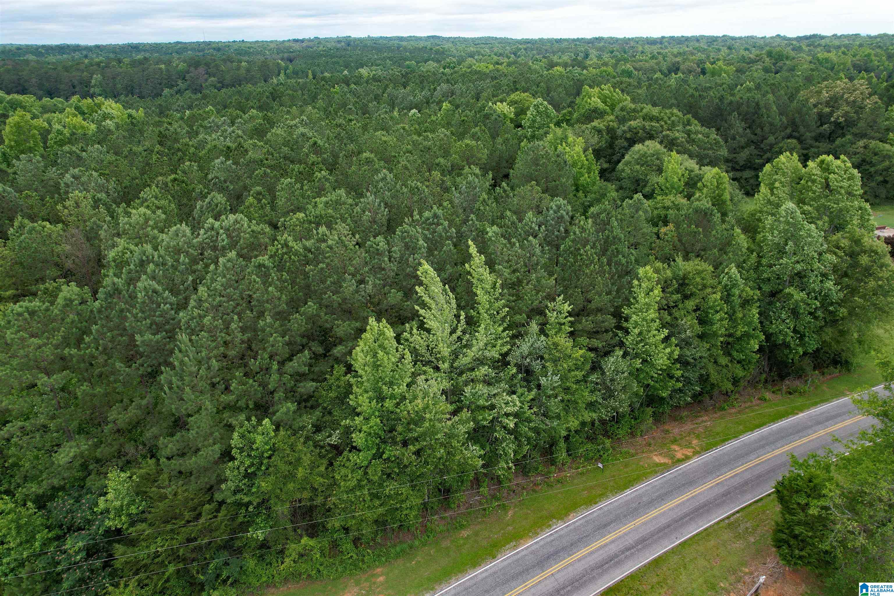 0 Houston Road Sylacauga, AL 35151 - Photo 2 of 32