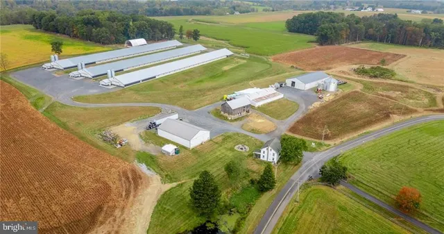 a view of a swimming pool with a yard
