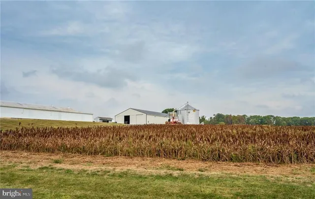 a view of a big house with large trees and cars parked in front of it