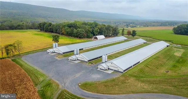 a view of a swimming pool with a yard