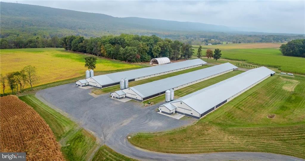 7573 Springhouse Road New Tripoli, PA 18066 - Photo 5 of 54 a view of a swimming pool with a yard