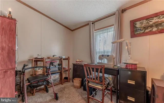 a bathroom with a sink mirror toilet and vanity