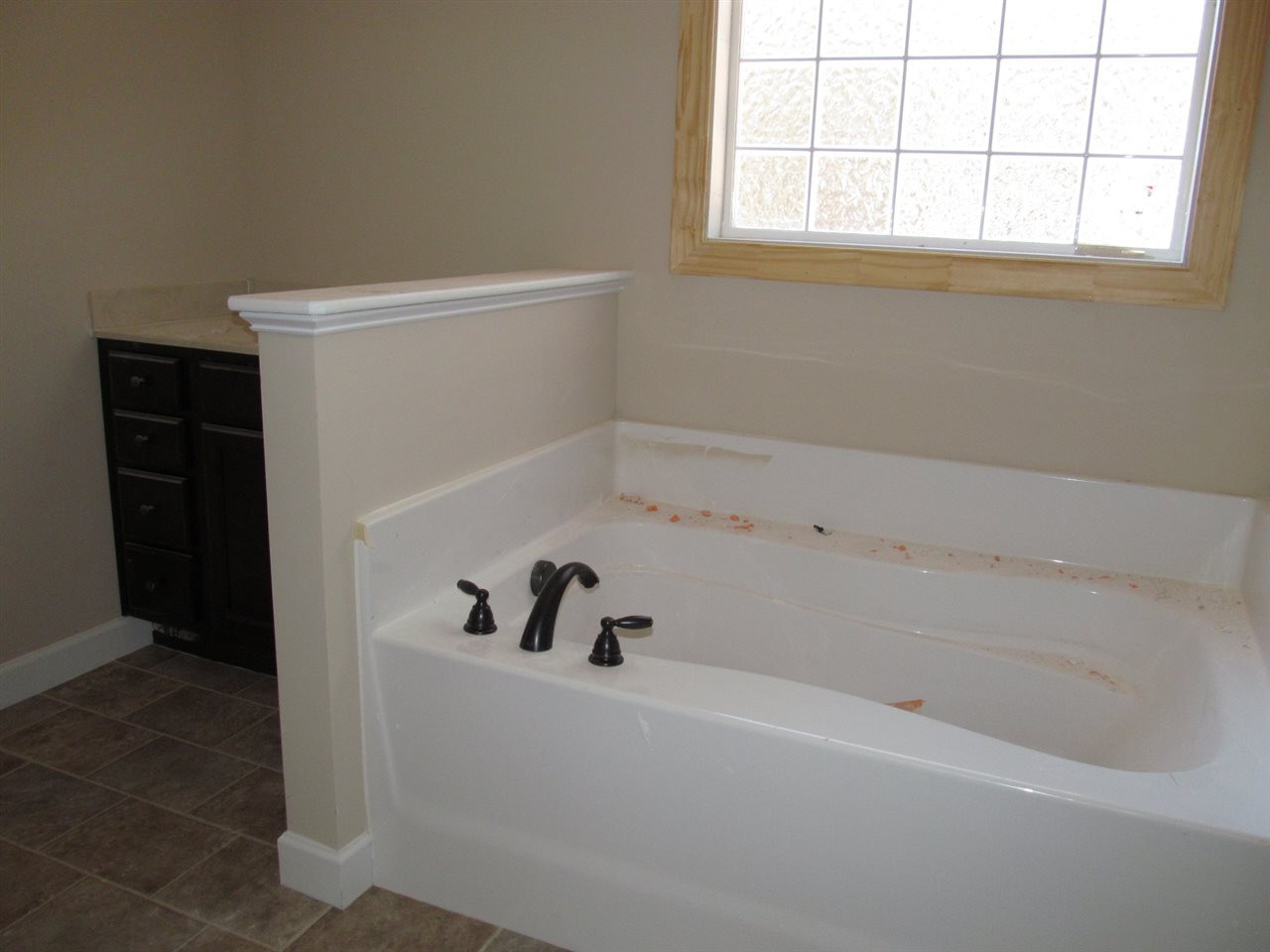 48 Savannah Ridge Court Angier, NC 27501 - Photo 11 of 19 Master Bath/Spa