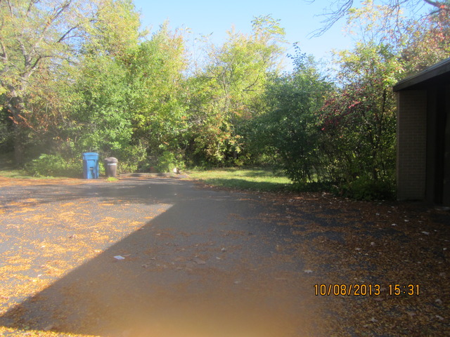 210 Denell Drive Crete, IL 60417 - Photo 5 of 11 a view of a yard with a tree
