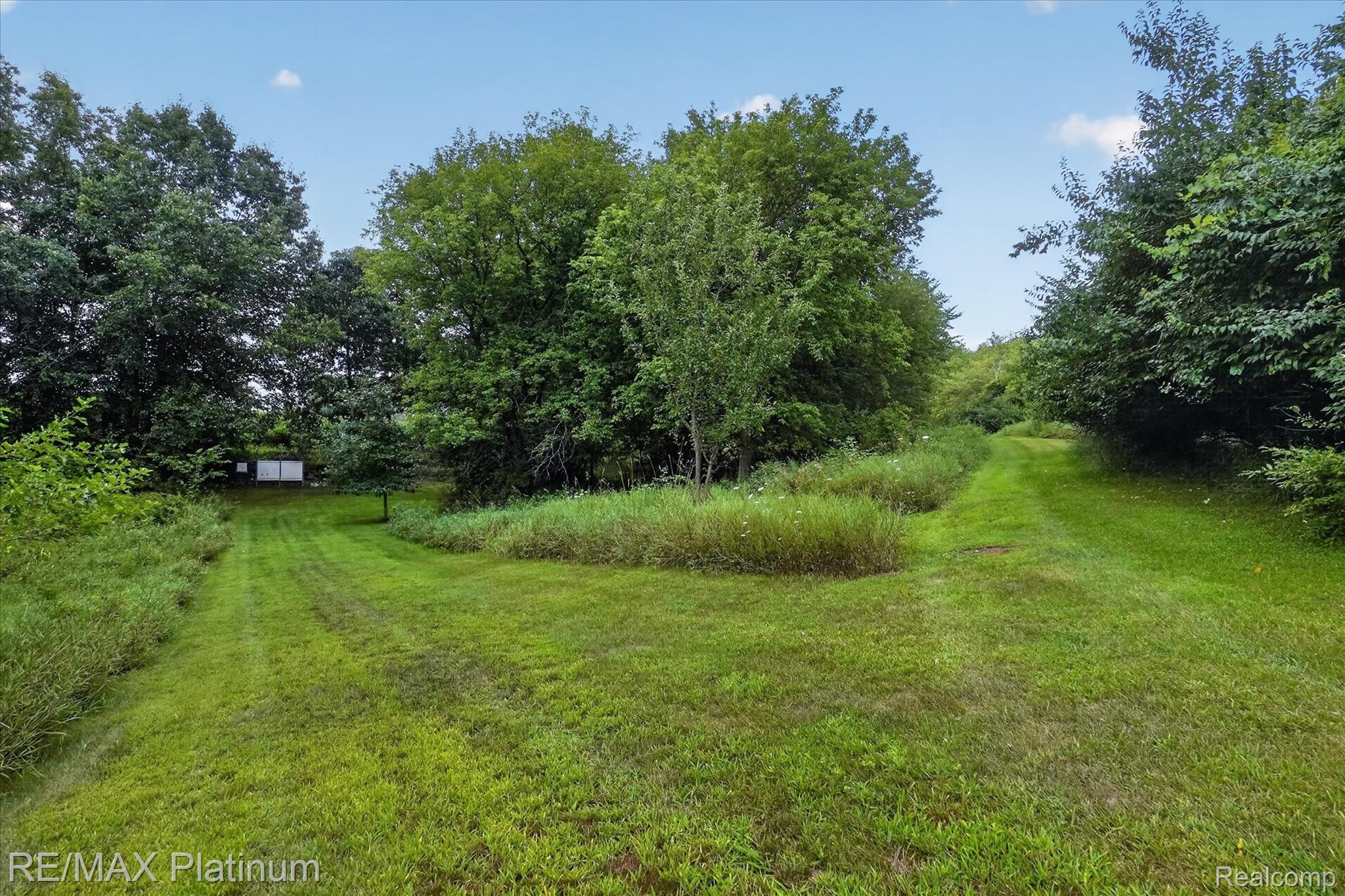 4457 Bradley Road Gregory, MI 48137 - Photo 58 of 79 Expansive grassy areas with mature trees and natural landscaping