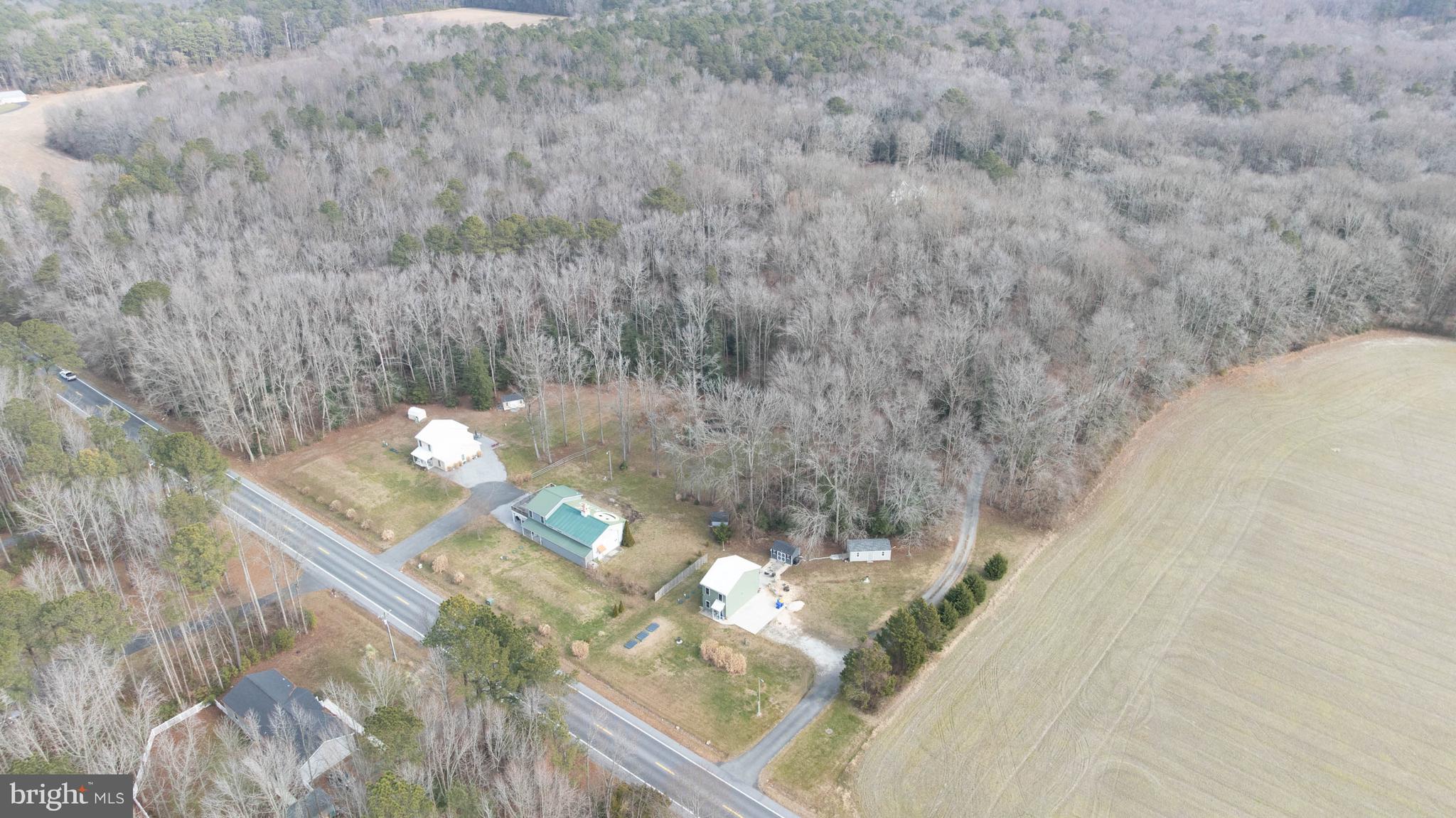 18885 Sand Hill Road Milton, DE 19968 - Photo 3 of 46