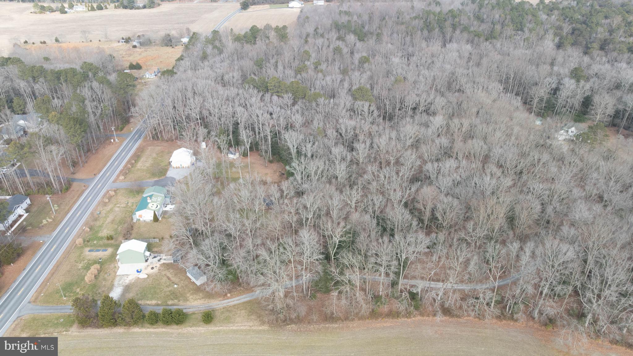 18885 Sand Hill Road Milton, DE 19968 - Photo 4 of 46