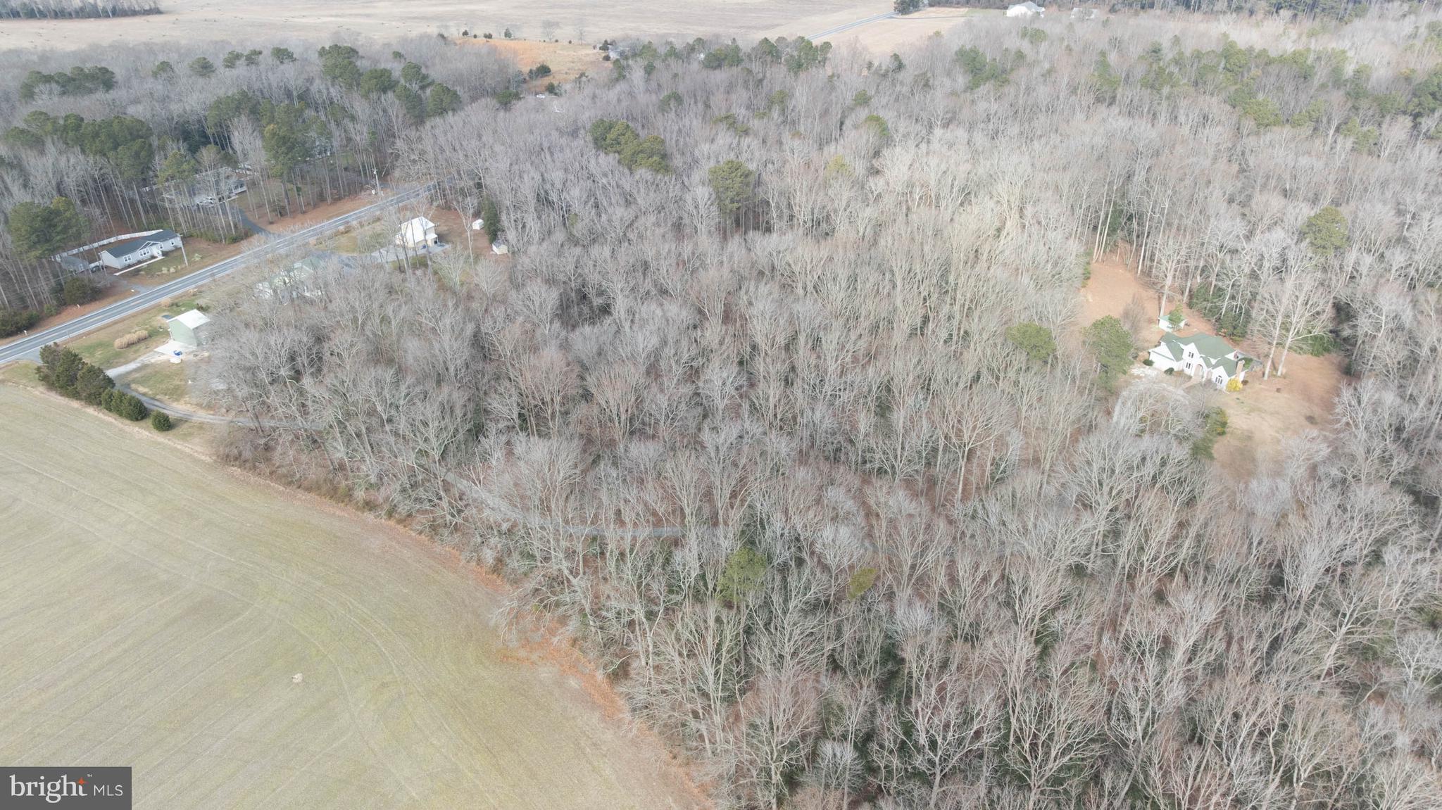 18885 Sand Hill Road Milton, DE 19968 - Photo 46 of 46