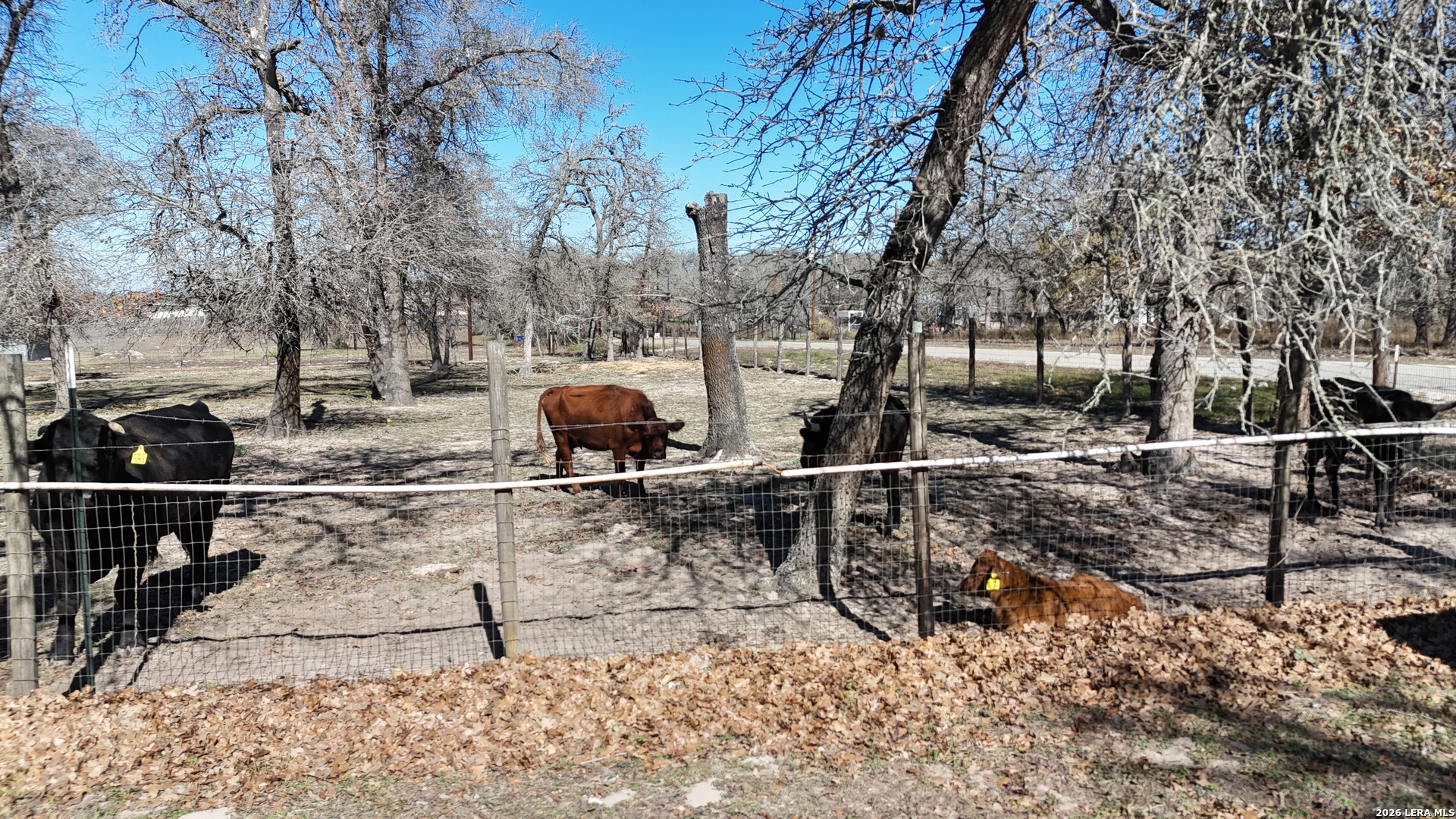 470 Lyon Road Seguin, TX 78155 - Photo 3 of 43 a view of outdoor space with seating area