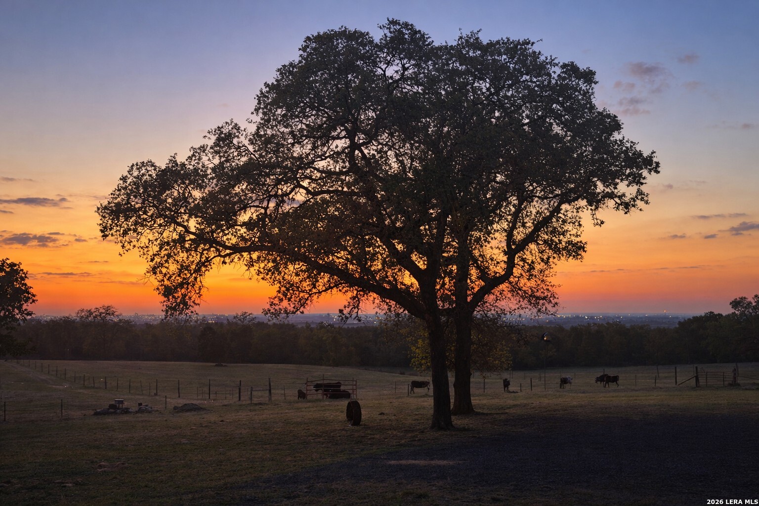 470 Lyon Road Seguin, TX 78155 - Photo 42 of 43 a view of outdoor space with mountain view