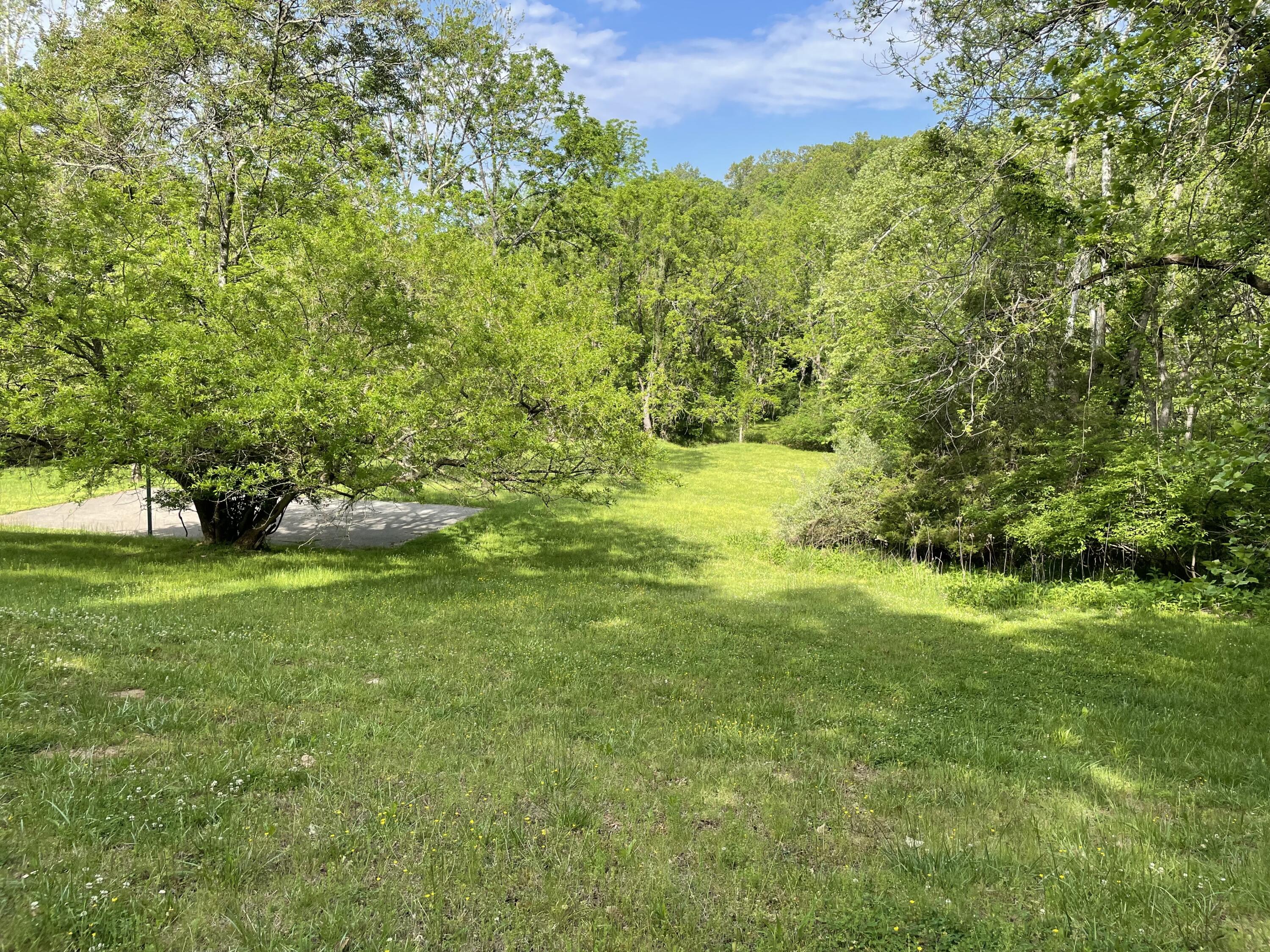 101 Gap Bridge Road Moneta, VA 24121 - Photo 48 of 52 image_50731521