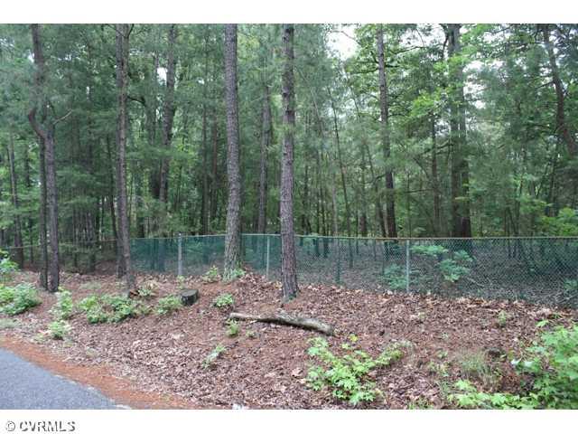 13515 Nile Road Chester, VA 23831 - Photo 1 of 3 Gallery Image 1