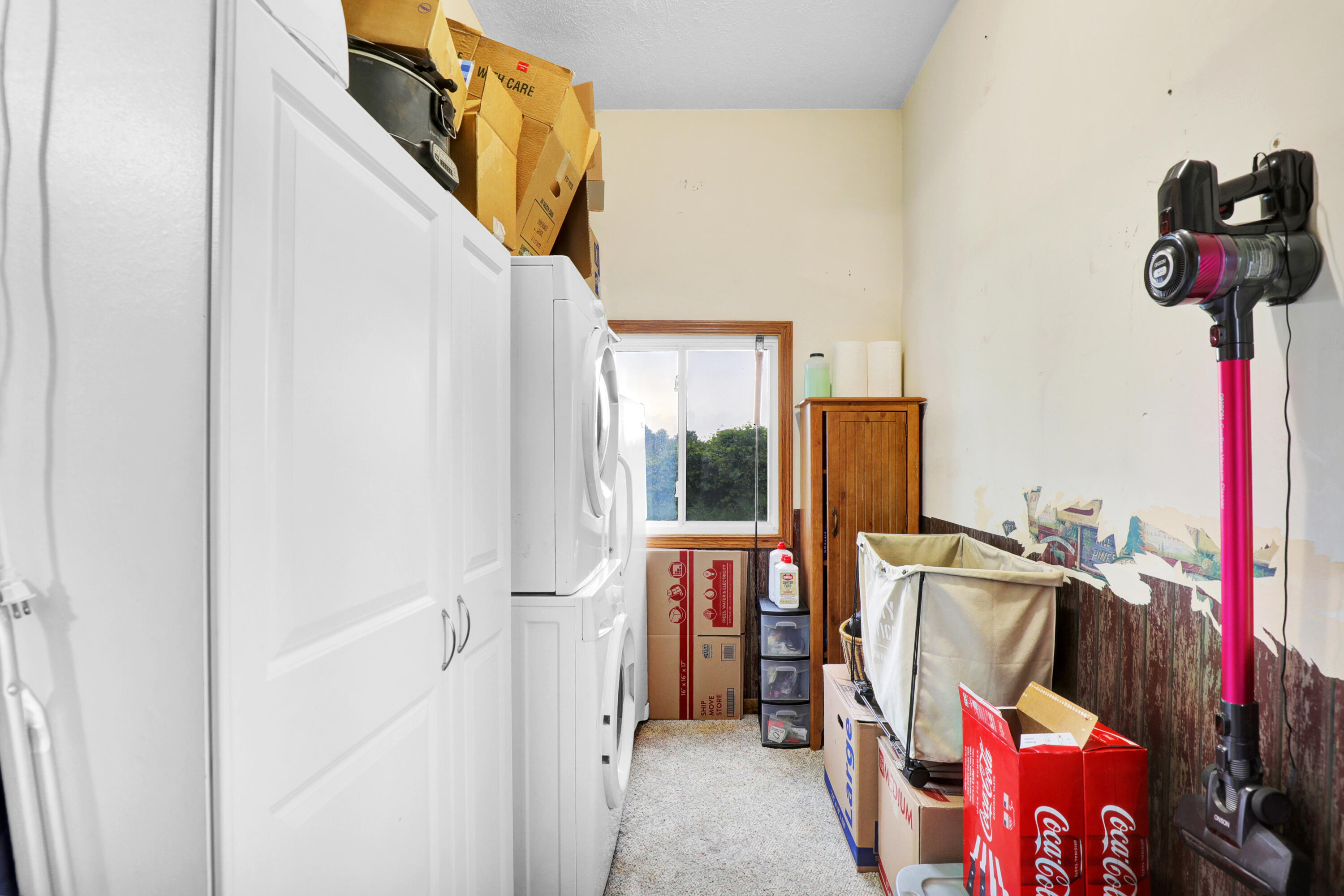 3555 Pease Road South Bellevue, MI 49021 - Photo 13 of 26 Laundry-misc.